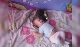 爆料可爱小视频,揭秘可爱小视频背后的温馨故事